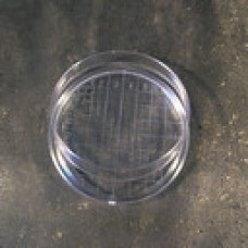 Petri Dish plastic, with grid, 60mm pkt/20